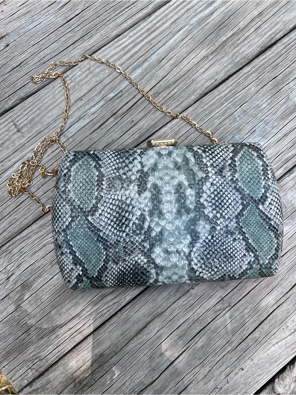 Urban Expressions Green Snakeskin Frame Clutch with Gold Gem Closure